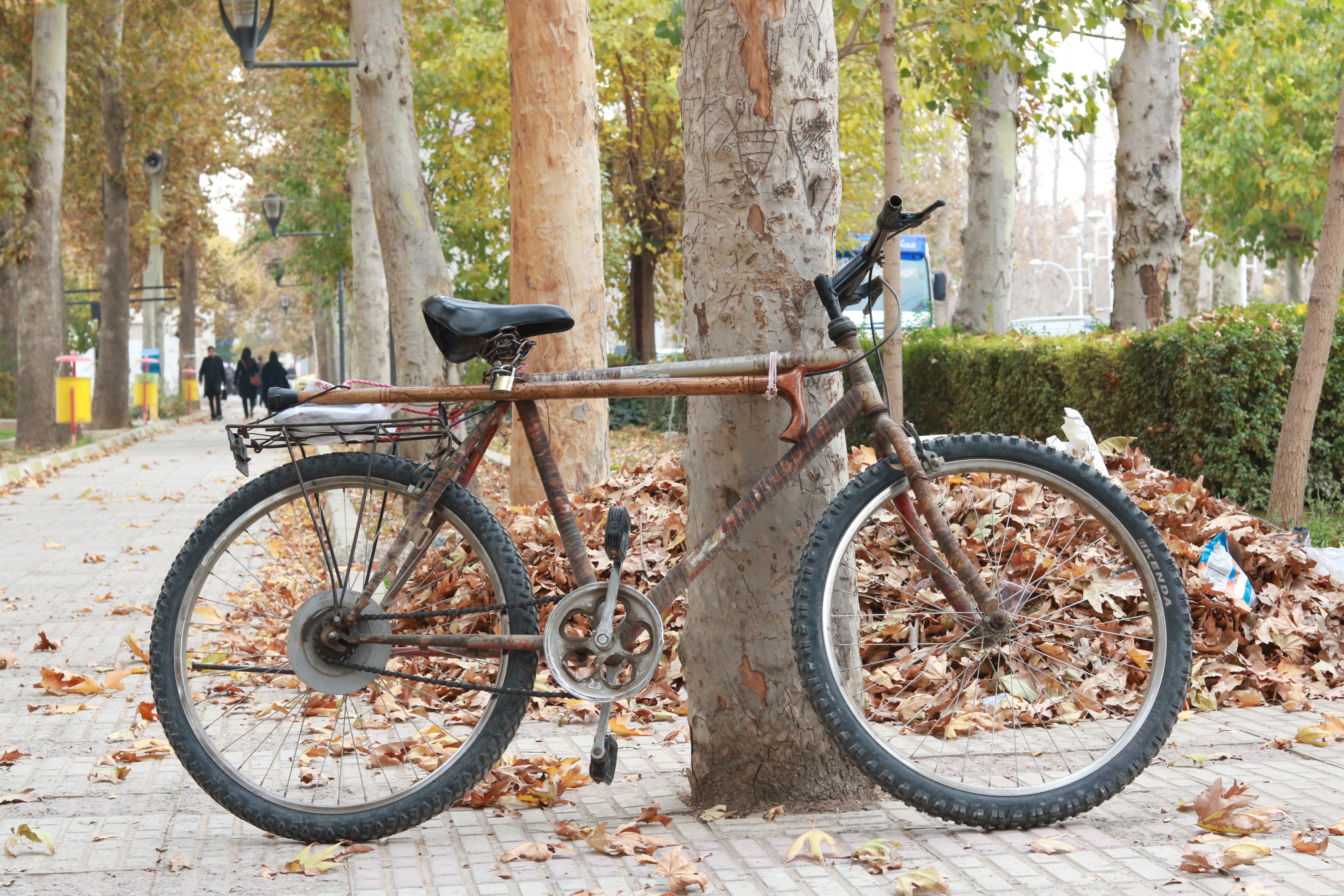 Neda's photograph of a Bike